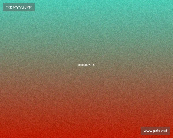 女排赛程表一览2019 女排赛程表一览2019